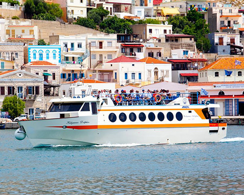 Kalymnos Dolphin